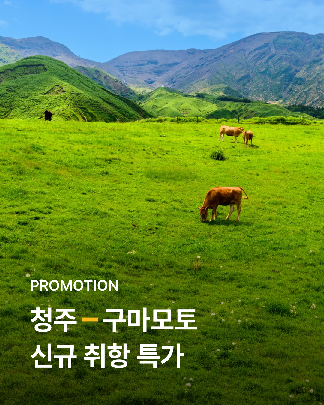 에어로케이 청주-구마모토 6.9만원~ 안내 이미지